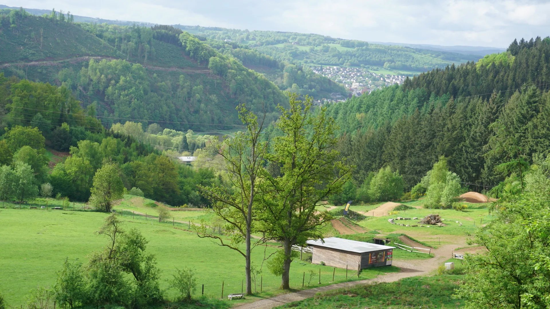 Bos en heuvels van de Belgische Ardennen in vroege herfsttinten