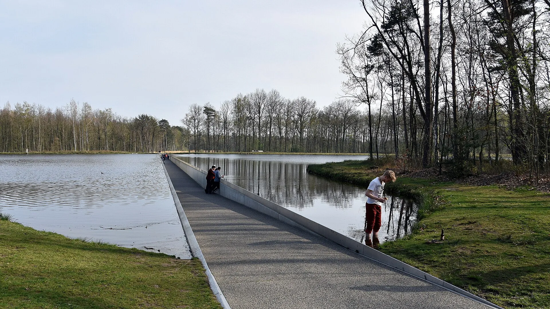 Het iconische 'Fietsen door het Water'-fietspad in Bokrijk waar fietsers door een meer rijden