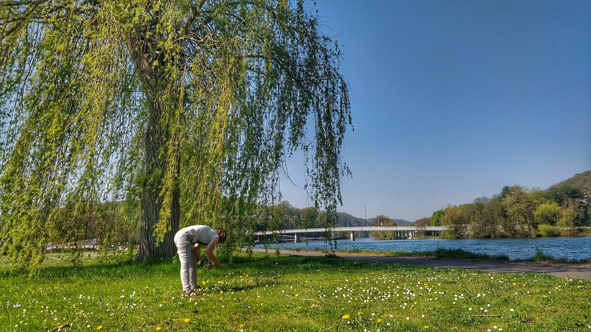 Het glooiende landschap van Wallonië met groene heuvels en een rivier